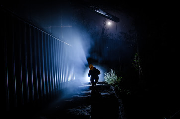 Horror scene of a scary children's ghost, Silhouette of scary baby doll on dark foggy background with light.