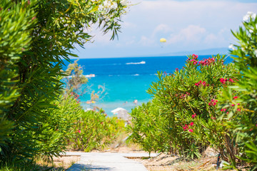 Landscape at the sea , Greece