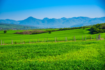 Spring landscape