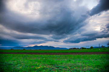 Landscape in the springtime