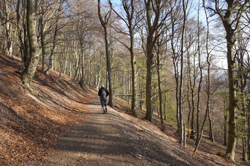 monte generoso e fiore di pietra