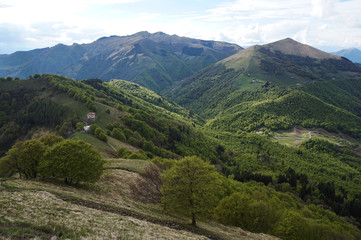 mountain near the lake