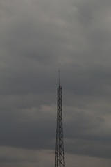 Gris 