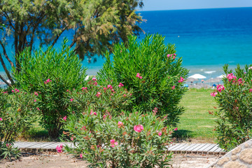 Sea landscape in Greece