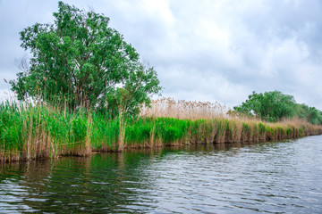 Danube delta landscape