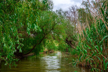 Danube Delta view