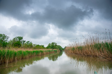Danube Delta channel