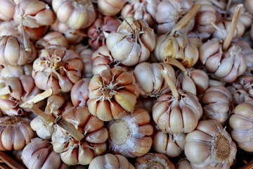 various spices and items sold in traditional markets, still fresh but ready to be processed into food