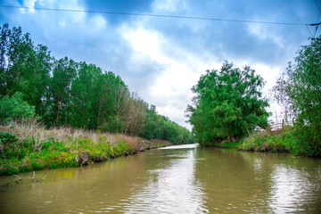 Landscape in Danube Delta