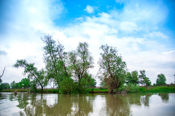 Landscape in Danube Delta