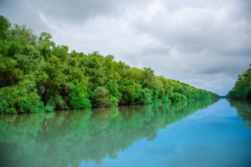 Landscape in Danube Delta