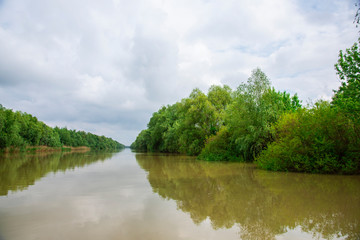 Fototapeta na wymiar Landscape in Danube Delta