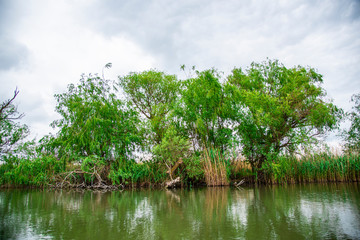Landscape in Danube Delta