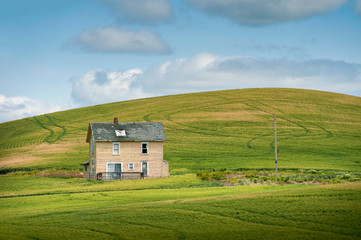 Obraz premium Abandoned Farmhouse in a Wheat Field. A classic farmhouse located in the palouse area of eastern Washington state sits in the middle of a maturing wheat field abandoned long ago as the main residence.