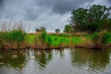 Danube Delta view