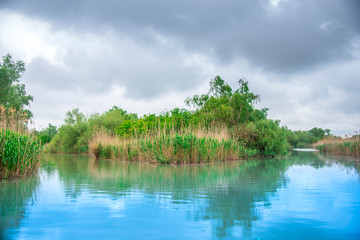 Danube delta landscape