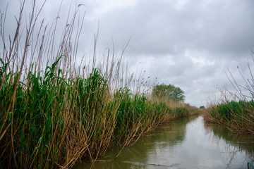 Danube delta landscape