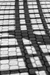 Shadow Pattern on Patterned Pavement