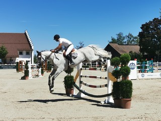 gourmet riding food event