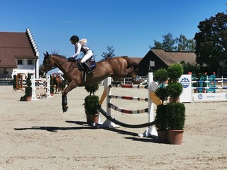 gourmet riding food event