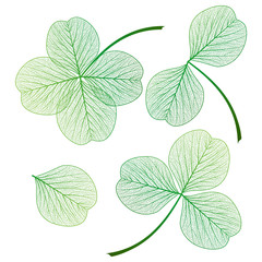 Set leaf clover . Vector illustration. EPS 10