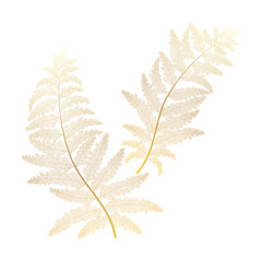 Leaf fern, isolated. Vector illustration. EPS 10