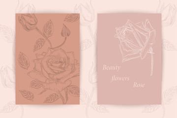 Beautiful background with Roses flowers and space for text. Vector illustration. EPS 10