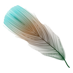 Feather isolated on black.Vector illustration.