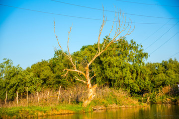 Danube Delta