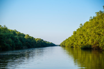 Danube Delta