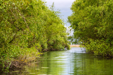 Danube Delta
