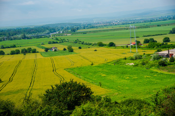 Fototapeta premium Traces on the wheat field