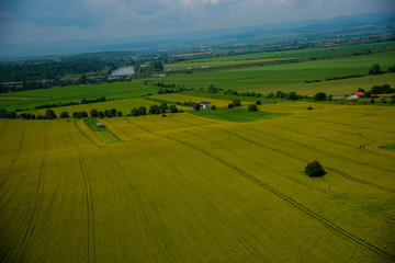 Traces in wheat field