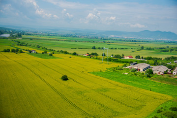 Fototapeta premium Traces in wheat field