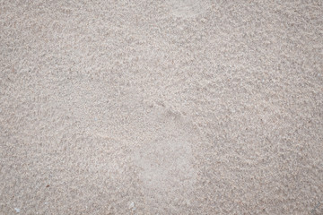 Sand texture background for you you design, background concept.