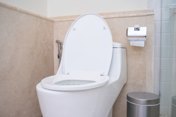 clean flush toilet in bathroom