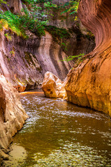 Wild gorge river inside of the mountains