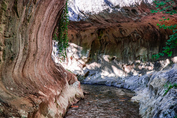 Wild gorge river inside of the mountains
