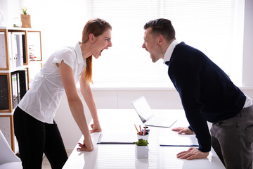 Businesspeople Shouting At Each Other
