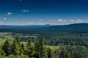 View from vista point of CA 299 East near Burney featuring pine forests of the Modoc plateau,...