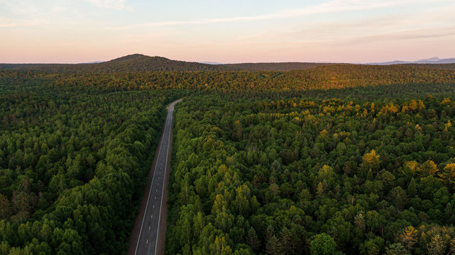 Top view of the dirt road and green spring forests in bright sunset colors. Beautiful landscape from the air, photograph from the drone. © suvorovalex