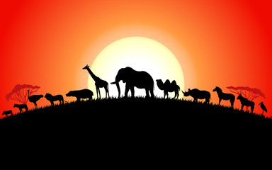 Set of african animals silhouette on sunset