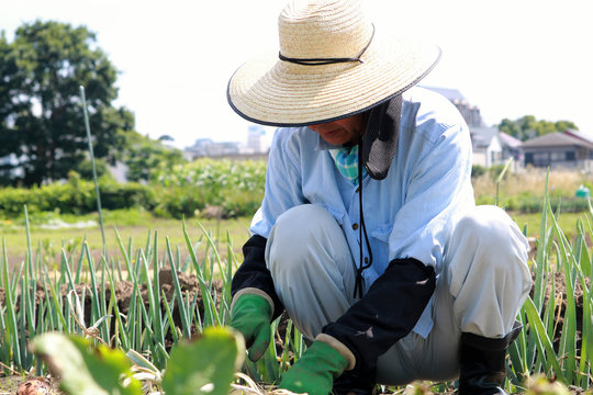 1 984 Best しゃがむ Images Stock Photos Vectors Adobe Stock