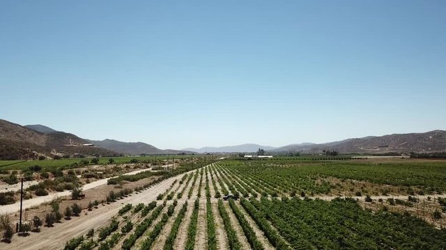 Valley of Guadalupe Mexico