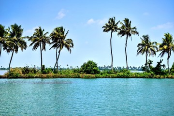 Alappuzha is known as the Venice of the East. Lovely beaches and tranquil backwaters make it a must-visit place
