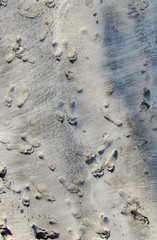 footprints in the sand