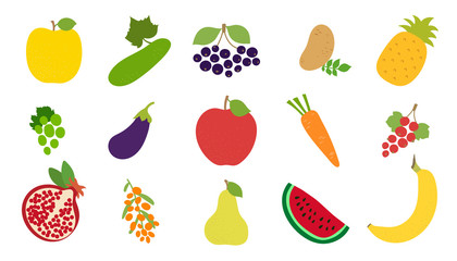 Vegetable, fruit, berry set. Apple, cucumber, chokeberry, potato, pineapple, grape, eggplant, carrot, currant, garnet, sea ​​buckthorn, pear, watermelon, banana. Vector sketch. Healthy food collection