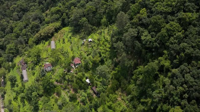 Aerial, tilt down, drone shot, towards a group of detached houses and gardens, in the middle of Indian forest, on a sunny day, in Sikkim, India