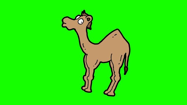 kids drawing green screen with theme of camel