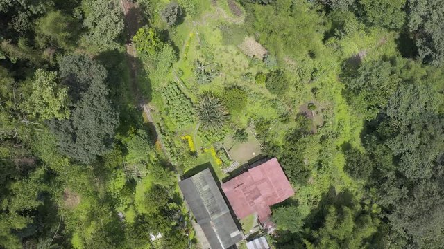 Aerial, top down, drone shot, descending towards a detached house yard or garden, in the middle of Indian forest, on a sunny day, in Sikkim, India